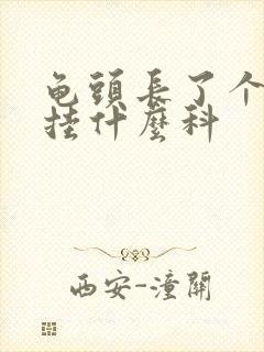 龟头长了个疙瘩挂什么科