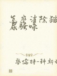 怎么消除猫咪的尿骚味