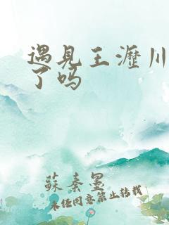 遇见王沥川得奖了吗