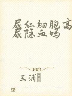 尿红细胞高就是尿隐血吗