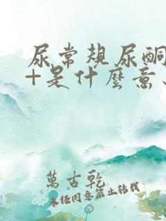 尿常规尿酮体1+是什么意思