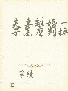 夫妻离婚一个孩子怎么判抚养权