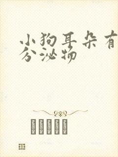 小狗耳朵有黄色分泌物