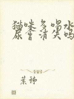 猫咪多喝水结晶尿会消失吗