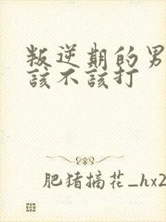 叛逆期的男孩子该不该打