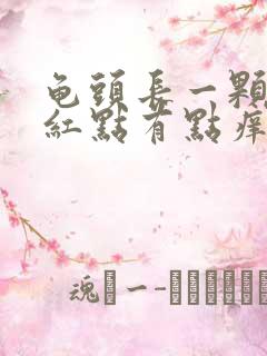 龟头长一颗颗小红点有点痒是什么原因