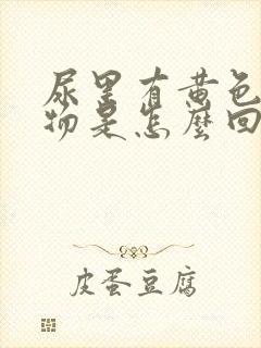 尿里有黄色沉淀物是怎么回事