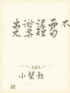 出淤泥而不染的文案短句