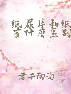 纸尿片和纸尿裤有什么区别