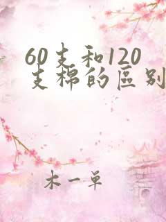 60支和120支棉的区别