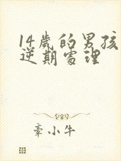 14岁的男孩叛逆期处理