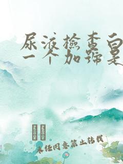 尿液检查白细胞一个加号是什么意思