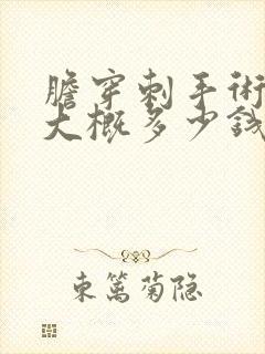 胆穿刺手术费用大概多少钱