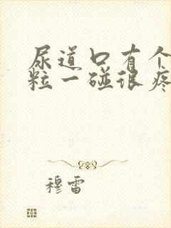 尿道口有个小肉粒一碰很疼