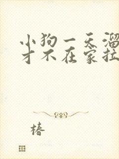 小狗一天溜几次才不在家拉尿