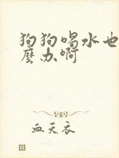 狗狗喝水也吐怎么办啊