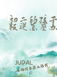 初二的孩子厌学叛逆怎么办