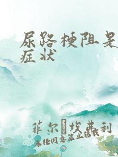 尿路梗阻是什么症状