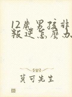 12岁男孩非常叛逆怎么办