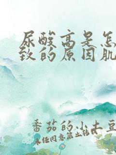 尿酸高是怎么导致的原因肌酐偏高