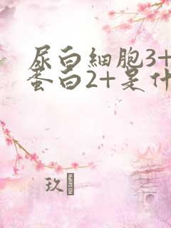 尿白细胞3+尿蛋白2+是什么意思