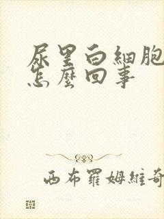 尿里白细胞高是怎么回事