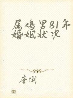 属鸡男81年的婚姻状况