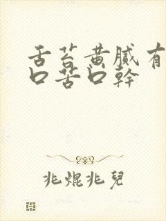 舌苔黄腻有齿痕口苦口干