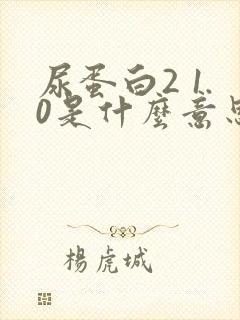 尿蛋白2 1.0是什么意思