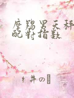 摩羯男天秤女座配对指数