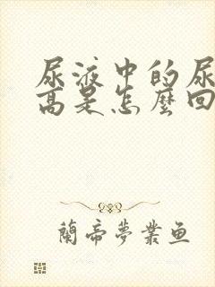 尿液中的尿蛋白高是怎么回事