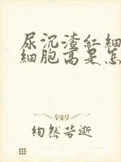 尿沉渣红细胞白细胞高是怎么回事