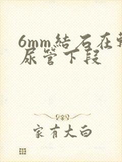 6mm结石在输尿管下段