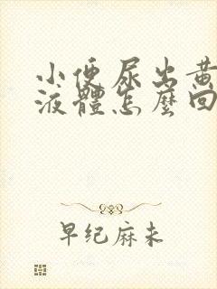 小便尿出黄粘稠液体怎么回事