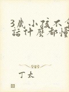 3岁小孩不会说话什么都懂