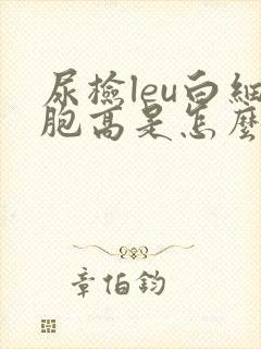 尿检leu白细胞高是怎么回事