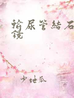 输尿管结石用软镜