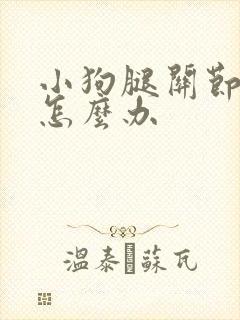 小狗腿关节错位怎么办