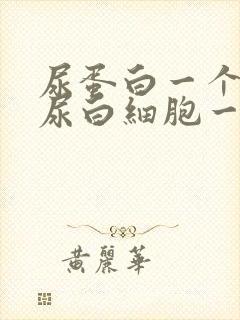 尿蛋白一个加号尿白细胞一个加号