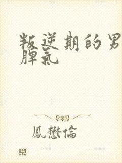 叛逆期的男孩子脾气