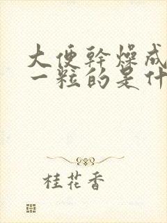 大便干燥成一粒一粒的是什么原因