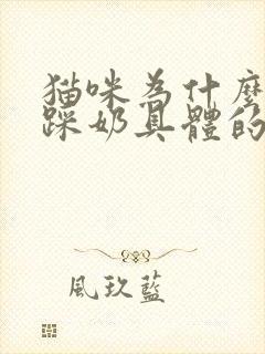 猫咪为什么喜欢踩奶具体的原因