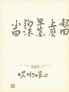 小狗早上起来吐白沫怎么回事