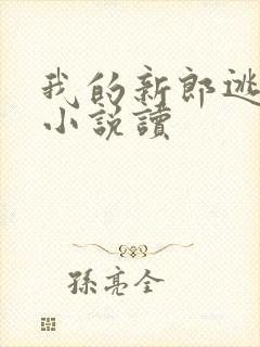 我的新郎逃婚了小说读