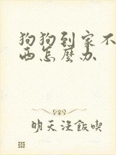 狗狗到家不吃东西怎么办