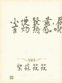 小便发黄,尿道有灼热感吃什么药