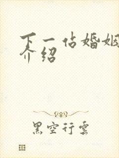 下一站婚姻剧情介绍