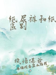 纸尿裤和纸尿片区别