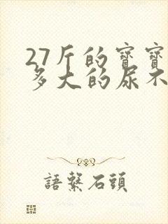 27斤的宝宝穿多大的尿不湿