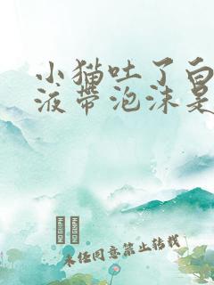 小猫吐了白色粘液带泡沫是什么原因